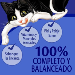 Alimento Humedo para Gato Purina Felix Surtido 24 pzas de 85 g c/u