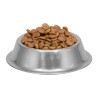 Alimento para Perros Member's Mark Exceed 15 kg